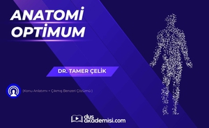 DUS Anatomi Optimum (Konu Anlatımı + Çıkmış Benzeri Çözümü)