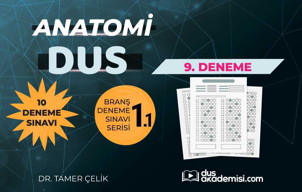 DUS Anatomi 1. Branş Deneme Kitabı 09. Fasikül