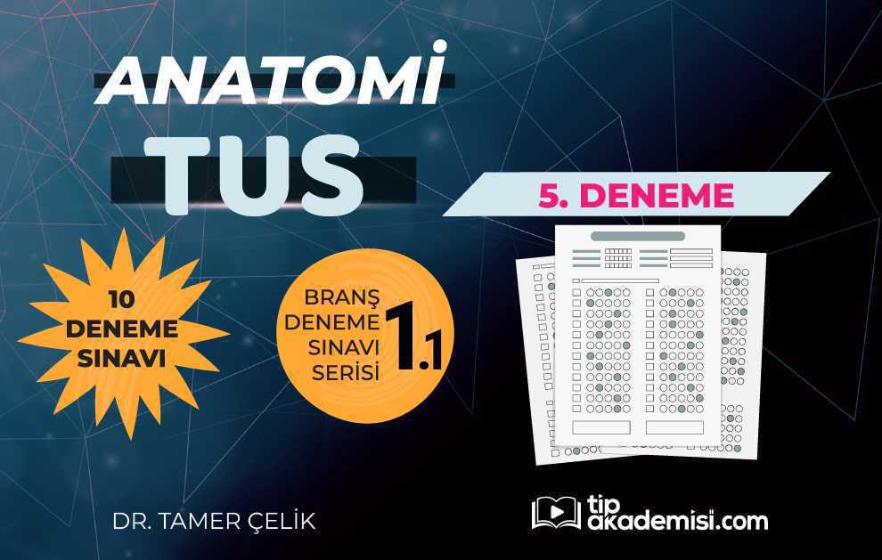 TUS Anatomi 1. Branş Deneme Kitabı 05. Fasikül