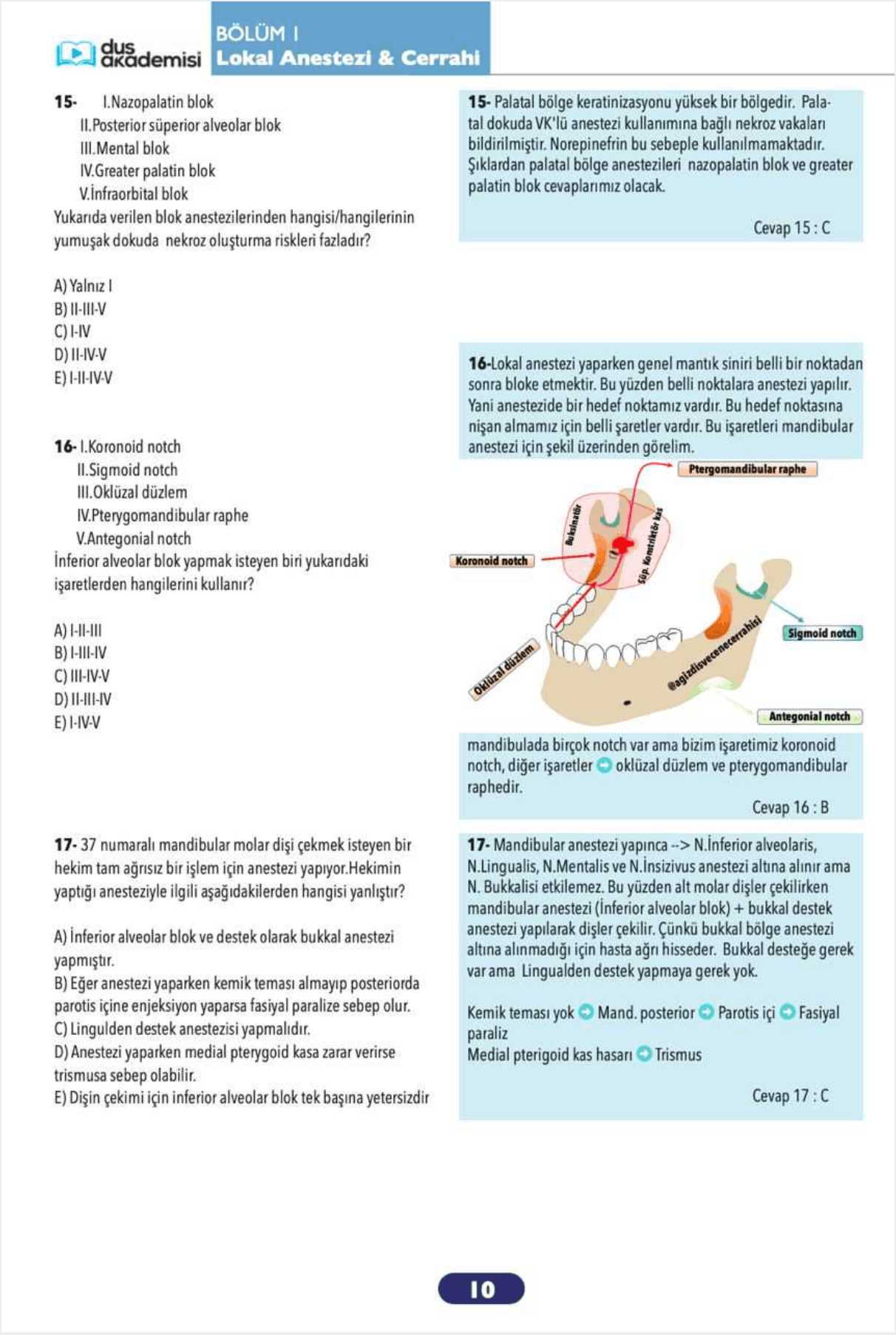 DUS Ağız Diş ve Çene Cerrahisi 2’li Set (Konu Kitabı + Soru Bankası) — görsel 6