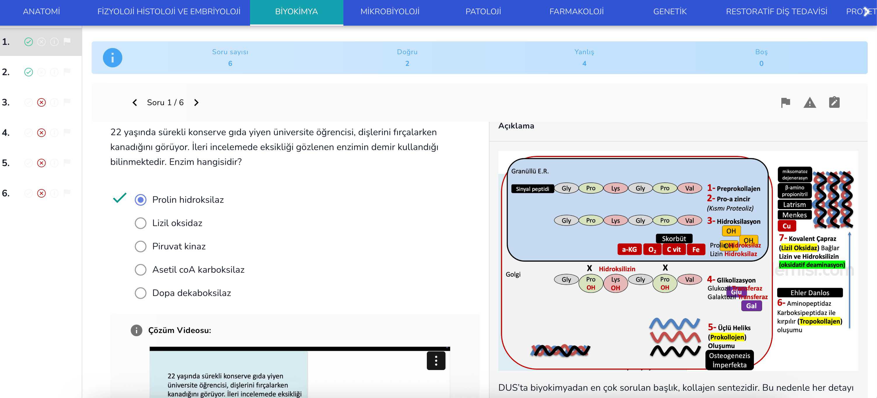 DUS Check 01 Deneme Kitabı — görsel 5