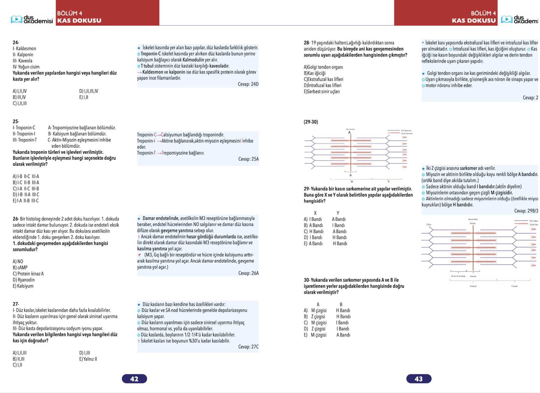 DUS Fizyoloji Histoloji ve Embriyoloji 2’li Set (Konu Kitabı + Soru Bankası) — görsel 6