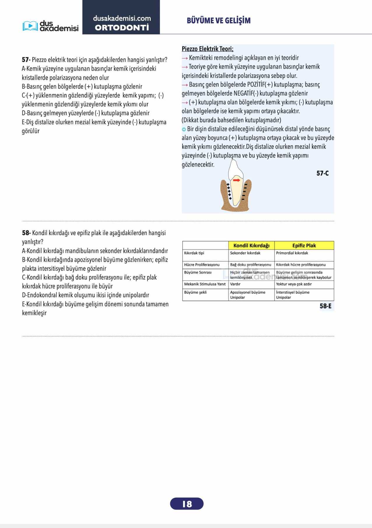DUS Ortodonti 2’li Set (Konu Kitabı + Soru Bankası) — görsel 3