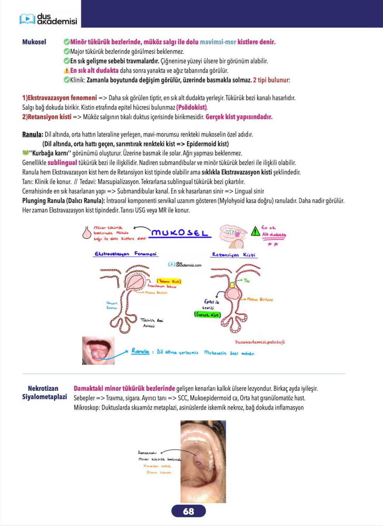 DUS Patoloji 2’li Set (Konu Kitabı + Soru Bankası) — görsel 8