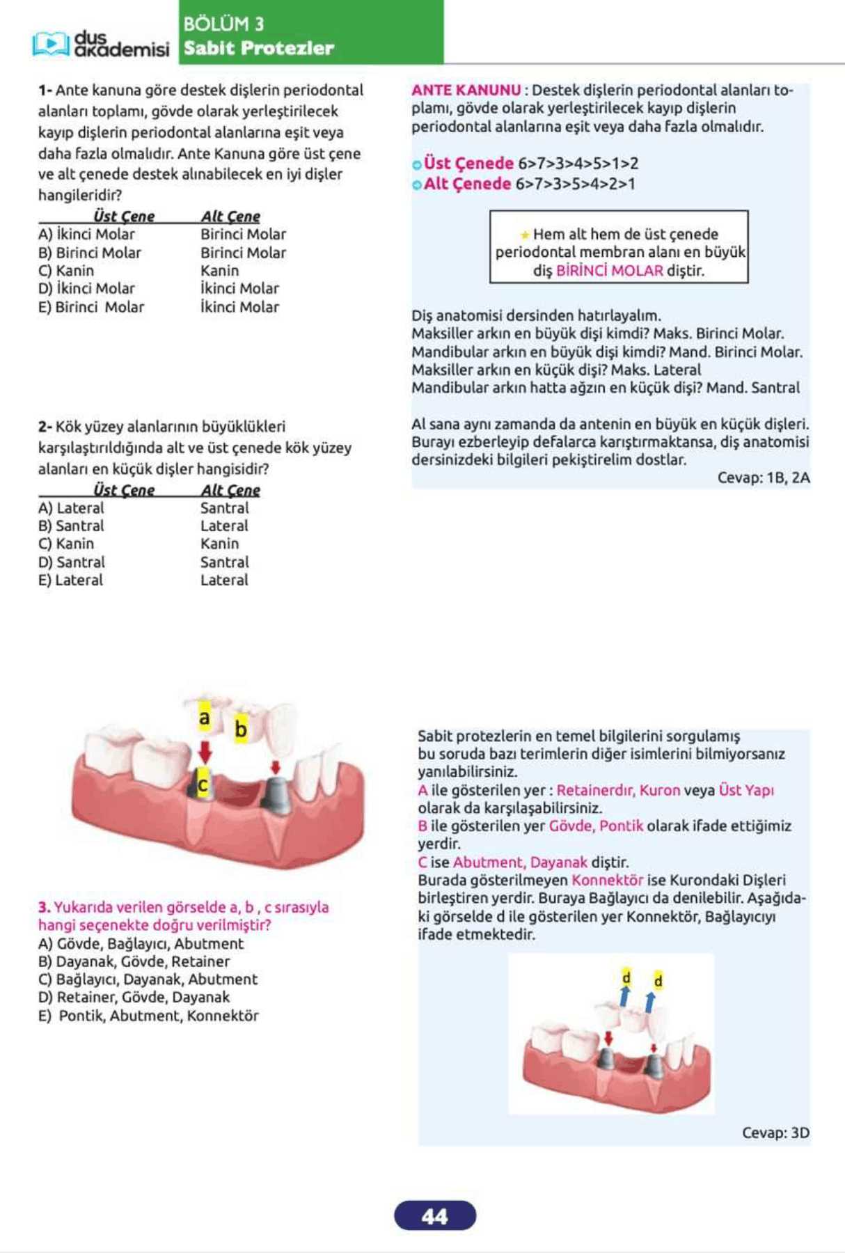 DUS Protetik Diş Tedavisi 2’li Set (Konu Kitabı + Soru Bankası) — görsel 2