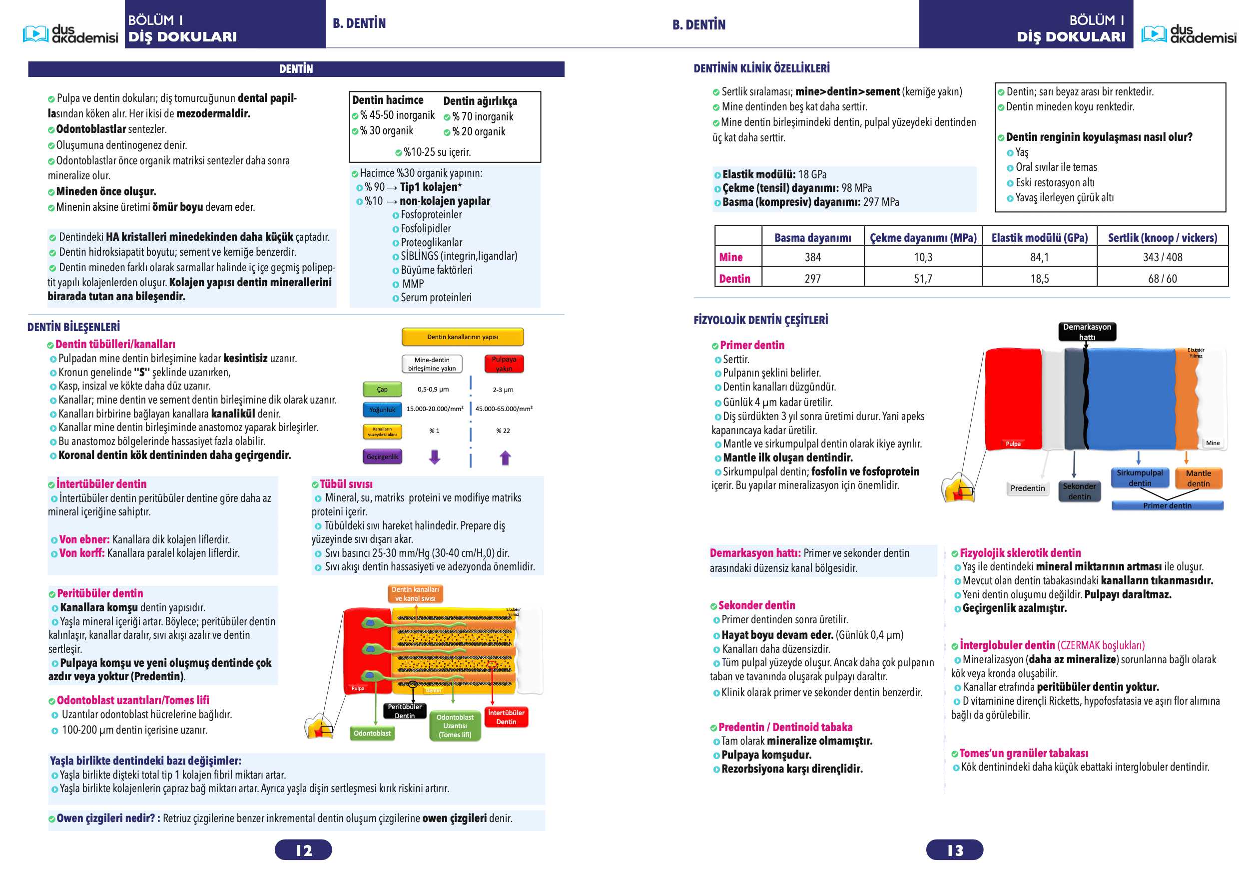 Trio DUS Restoratif Diş Tedavisi 3’lü Set (Konu Kitabı + Soru Bankası + Deneme Kitabı) — görsel 8