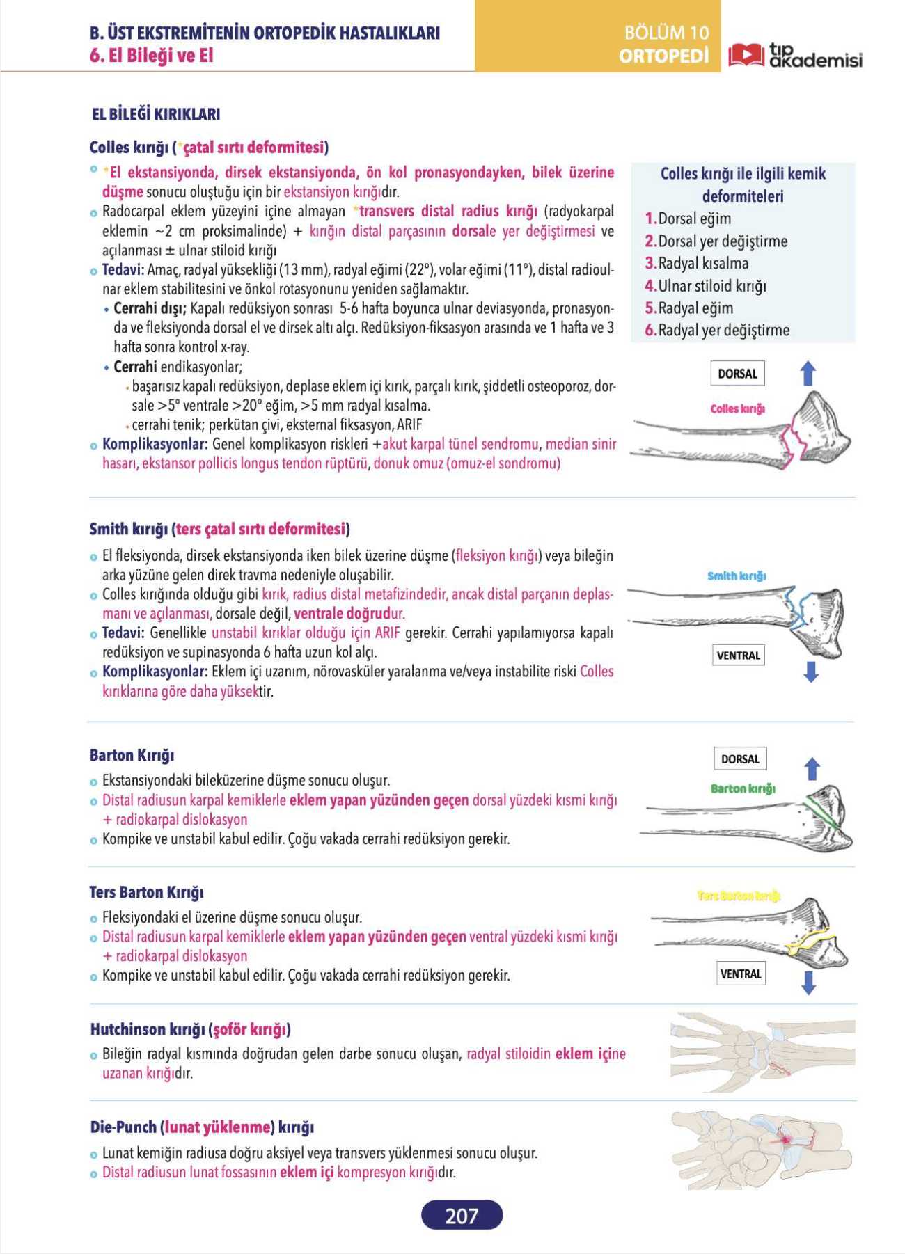 TUS Küçük Stajlar 2’li Set (Konu Kitabı + Soru Bankası) — görsel 10