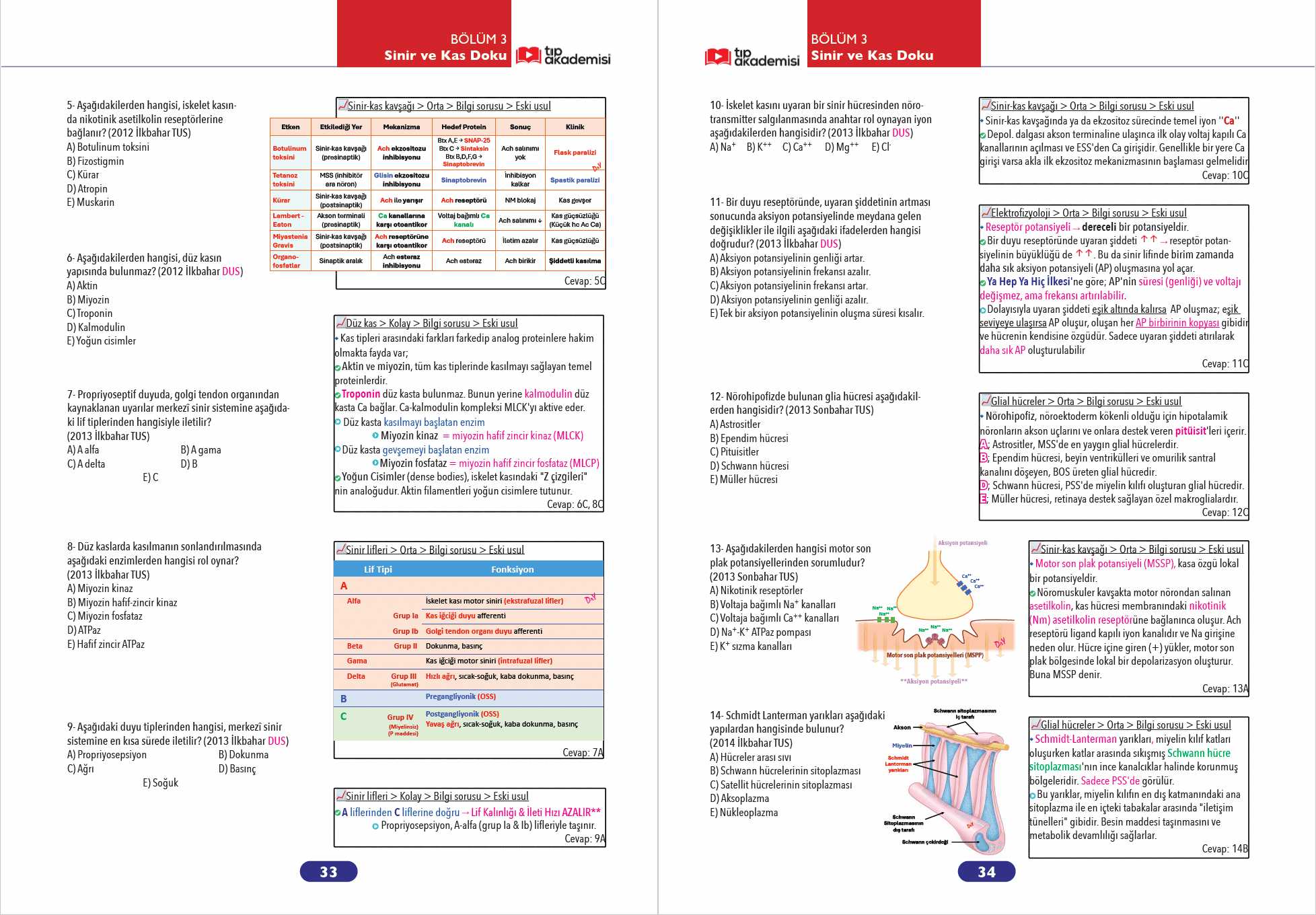 ÇTS Çıkmış Sorular Temel Bilimler Kitap Seti | TUS — görsel 4